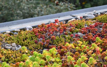 the cost of Cuiken green roof installation