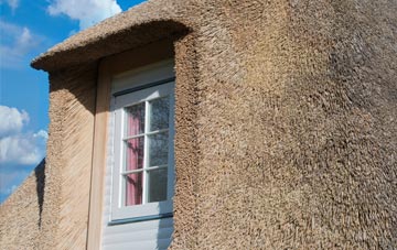 Cuiken thatch roof disadvantages